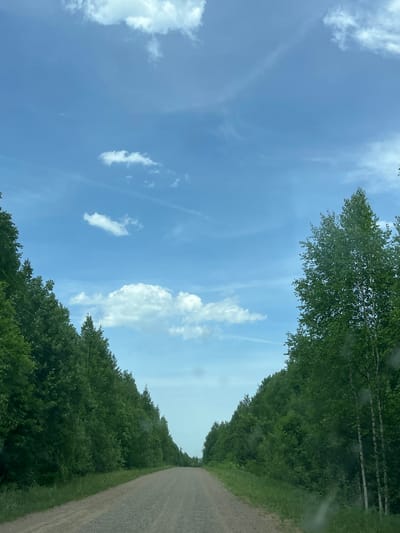 The image shows a dirt road in a rural area, likely in Korovino, Russia. The road stretches into the distance, flanked by dense green trees and foliage on either side. Above, the sky is a light blue with scattered white clouds. There are no people or animals visible in the image.