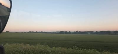 This is a medium-wide shot of a rural landscape in Titchmarsh, United Kingdom, taken from a vehicle. The foreground is dominated by the blurred green foliage of plants and wildflowers, suggesting motion. A wide expanse of green fields stretches into the mid-ground, with faint horizontal lines indicating cultivation or irrigation. In the background, a treeline of dark green foliage forms a horizon against a soft gradient sky, transitioning from a pale pink near the horizon to a light blue at the top. The sky is clear, with no visible clouds. A portion of a car's side mirror, reflecting a blurred, darker landscape, occupies the upper left corner of the image. The overall lighting suggests either dawn or dusk. There are no people or animals visible in the scene.