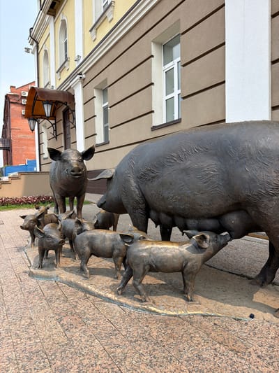 The image depicts a bronze sculpture of a sow and her piglets located in the city of Tomsk, Russia. The sow is large and is positioned towards the right side of the frame, with several smaller piglets gathered around her, some nursing. The sculptures are situated outdoors on a patterned stone pavement, with a building in the background. The building features a light yellow facade with brown horizontal decorative elements and arched windows. There is also a dark brown awning above an entrance. The ground is paved with reddish-brown and grey granite tiles. The overall scene appears to be a public space, likely a square or pedestrian area, given the presence of the sculptures and the architectural elements of the surrounding building.