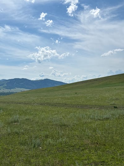 The image captures a vast, rolling landscape under a bright, partly cloudy sky. The scene is dominated by a sweeping expanse of vibrant green grass, appearing to be a well-maintained field or pasture. A distinct dark line, possibly a path or a boundary, runs diagonally across the grassy area.
In the background, a majestic mountain range rises, its slopes covered in dense vegetation that transitions from a deep green to a bluish hue as it recedes into the distance. The peaks of the mountains are partially obscured by wispy white clouds that drift across a pale blue sky. The clouds themselves are varied, with some appearing as thin, feathery streaks while others are more voluminous and defined.
The overall impression is one of a serene and expansive natural environment, bathed in daylight. The lighting suggests it is likely daytime, possibly late morning or early afternoon, given the brightness of the sky and the clarity of the scene. The location, identified as Сафронов, Russia, implies a rural or mountainous setting. There are no visible people or specific objects that suggest human activity other than the path on the grass. The weather appears pleasant, with a combination of sun and clouds. The emotions evoked are those of peace, tranquility, and awe at the natural beauty of the landscape. No text is visible within the image.
