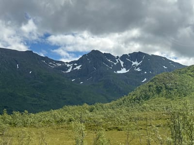 This media file depicts a scenic mountain landscape in Gullesfjord, Norway. The scene is dominated by rugged, dark grey mountains with patches of white snow scattered across their peaks and slopes. The lower parts of the mountains are covered in lush, dark green vegetation, suggesting a forest or dense undergrowth. In the foreground, a rolling hill is blanketed with lighter green, sparsely treed grassland. The trees in the foreground are small and have a delicate, light green foliage, with visible branches and trunks. The sky above is a mix of dramatic, dark grey clouds and patches of bright blue sky, indicating variable weather. The lighting suggests it is daytime, possibly late morning or afternoon, with the sun intermittently breaking through the clouds. The overall impression is one of raw, natural beauty and a tranquil, perhaps slightly cool, outdoor environment. There is no visible text in the image.