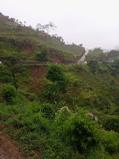The image shows a hillside covered in dense vegetation in Kecamatan Pangalengan, Indonesia. A dirt road winds its way up the hillside, which is terraced with small plots of land. There are a few trees scattered along the hillside, and a single streetlight is visible. Several vehicles, possibly motorcycles, are parked along the road. The scene is taken from a lower vantage point, looking up the hillside towards the road. The sky is overcast and the air is hazy. The weather appears to be misty, with a light rain. Several small buildings can be seen on the hillside in the background. There are no people visible in the image. The image is taken from a slight distance away, and it is not possible to see any details of the vehicles or the people. The overall scene is serene and peaceful.