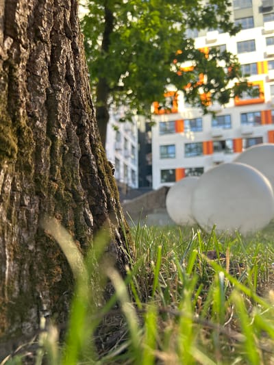 The image shows a close-up of tree bark with moss, with green grass in the foreground. In the background, a modern apartment building with white and orange accents is visible through the leaves of a tree. The building has multiple stories and many windows. The scene appears to be outdoors during the daytime, with sunlight filtering through the leaves, creating a bokeh effect. The perspective is unusual, as the image is oriented sideways, with the ground appearing on the right side of the frame and the sky on the left. There are no people visible in the image. The overall impression is one of an urban environment with natural elements, possibly a park or residential area with trees.