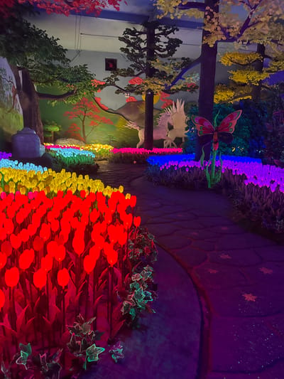 A vibrantly lit indoor display in Binh Lu, Vietnam features an enchanted garden pathway. To the right, a bed of glowing red tulips transitions to yellow and then blue. The path, a dark purplish-blue, curves gently and is adorned with star-shaped patterns. On the left, a mural-like backdrop includes painted mountains, trees, and a white swan-like figure. A large butterfly decoration is perched on a dark, artificial tree branch. Strings of LED lights in purple, blue, and pink line the path. The overall impression is of an artificial and whimsical environment.