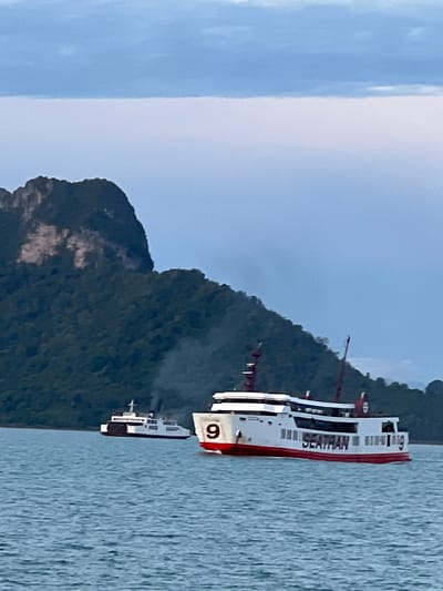 Two ferries are visible on the water in front of a large, tree-covered mountain with a rocky peak. The ferry in the foreground is white with a red stripe along its hull and deck. The word "SEATHAN" is written in black letters on its side, along with the number "9". This ferry is moving from left to right. Smoke is visible coming from the exhaust of the ferry in the background, which is also white. This ferry is further away and smaller in the frame. The water is choppy and blue-gray. The sky is overcast with a gradient of blue and white. The scene is likely in the waters near Thong Nian, Thailand, given the characteristic limestone karst formations visible in the background mountains.