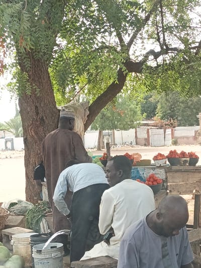 Several people gather near a vendor’s stall under a tree. The stall displays bowls of tomatoes and other produce. One man, wearing a light blue patterned shirt and dark pants, bends over buckets filled with water. A man in a brown robe and a white hat stands nearby. Another man in a white shirt sits on a bench, and a man in a grey shirt sits in the foreground. The tree's leaves and branches provide shade. A few buildings are visible in the background.