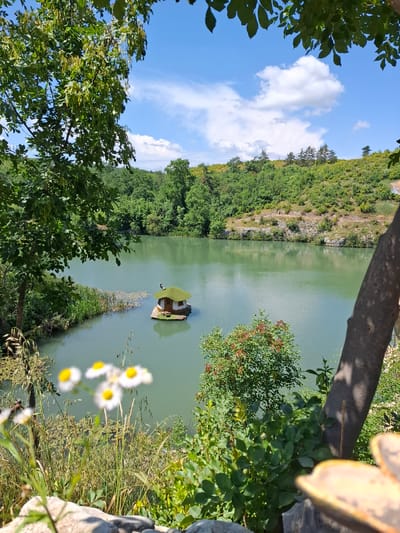 The image depicts a vibrant natural landscape in Lukovit, Bulgaria, observed on a bright, sunny day under a blue sky adorned with scattered white cumulus clouds.
In the central midground, a placid, light green-blue lake reflects the sky and surrounding environment. On the lake's surface, slightly right of the vertical center, a small, circular floating structure with a rounded, verdant green, possibly moss-covered roof is present. A miniature wooden table and two chairs are visible on the platform directly in front of the structure. A small, light-feathered bird is perched atop the roof's apex. Dense green reeds and aquatic plants, including water lilies, line the lake's near shore.
In the background, undulating hills are densely covered with various green trees and shrubs, interspersed with patches of lighter, possibly rocky, terrain. A discernible dirt path or track traverses one of these hills horizontally in the upper right background. A distinct cluster of coniferous trees crowns a prominent hill in the upper right sector.
The immediate foreground is characterized by lush green vegetation, including tall grasses and several out-of-focus white daisies with prominent yellow centers along the bottom. A large tree branch with compound green leaves and elongated seed pods extends into the upper left quadrant. A thick, dark-barked tree trunk diagonally frames the scene from the mid-right down to the lower right corner. Below this, an out-of-focus, irregular brown object occupies the extreme lower right. No human subjects are present.