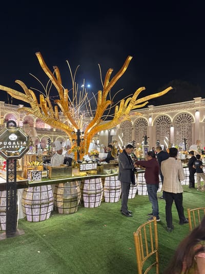 A night scene captures an outdoor event with a golden tree-like structure dominating the foreground. Tables, adorned with white decorations, are surrounded by people, some dressed in chef attire. Patrons stand nearby, casually dressed. A sign reading "Pugalia Caterer" is prominent. The backdrop features an ornately designed building, and a bright moon adds to the nighttime ambiance. The ground is covered in green turf.