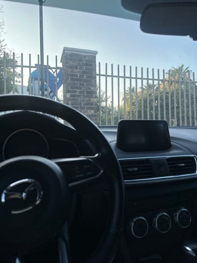 The image shows the interior of a car, looking out the windshield. The car is parked behind a metal fence and a brick wall. Behind the fence is a row of palm trees. The steering wheel, dashboard, and other interior components of the car are visible. The coordinates 25.736, -100.312 are located in the city of San Nicolás de los Garza, Mexico. The image was taken in the afternoon on a clear day. The car's interior is dark, while the exterior is bright. There are no people in the image. The car is parked and there is no indication of movement or action taking place.  The environment is peaceful and quiet.