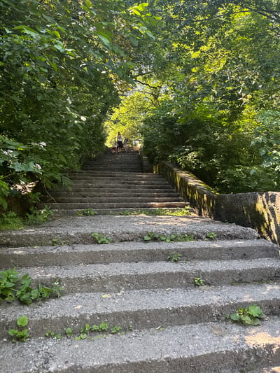 An outdoor, eye-level, vertical, wide shot captures a sun-drenched, imposing, long, concrete staircase leading upwards through lush green trees. The concrete steps are wide and textured, with some weeds and small plants growing in the cracks and along the edges, indicating age and a slightly overgrown environment. A stone wall, mossy and aged, runs along the right side of the staircase, casting dappled shadows from the overhead foliage.

Further up the stairs, three figures are visible. The closest figure is a small child or person wearing red shorts and a white top, standing at the bottom of a set of steps. Behind them, a woman in a white top and dark skirt stands slightly further up, seemingly looking up the stairs. To her right and slightly behind, another person, likely a child, is also ascending. The scene is bathed in warm sunlight filtering through the dense canopy of leaves, creating a bright and inviting atmosphere. The presence of the staircase suggests it is part of a park, pathway, or possibly a monument within a natural setting. This scene could be located in the city of Nalchik, Russia, given its abundant natural beauty and potential for such grand outdoor staircases within parks and mountainous terrain.