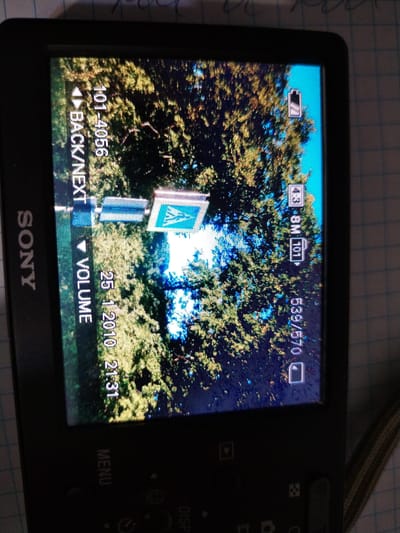 A photograph displays a digital camera screen showing a scene of trees and a pedestrian crossing sign. The camera is a SONY brand. On the screen, text indicates "101-4056 BACK/NEXT", "VOLUME", and the date and time "25.1.2010 21:31". In the upper right corner, a battery icon is visible, and below it, "4:3 8M 101". Further down the right side, "539/570" is displayed with an empty rectangle icon. The bottom of the camera shows buttons labeled "MENU" and "DISP". The camera appears to be held in a way that the screen is angled upwards, suggesting it might be resting on a surface or handheld at a low angle. The background on the screen depicts foliage of trees with a bright blue sky. A traffic sign for a pedestrian crossing, a blue square with a white pedestrian symbol, is prominent in the center-left of the screen. The overall scene is a still image captured by the camera, not a live view of the environment. The location of Pokrovka, Russia is not discernible from the image itself.