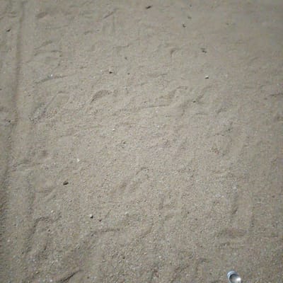 This media file is a close-up, top-down view of sand. The sand is light brown and appears to be slightly damp, as evidenced by the subtle variations in color and texture. There are several faint impressions in the sand, suggesting that something or someone has recently moved across its surface, creating shallow tracks or footprints. These impressions are not distinct enough to identify the source. Scattered throughout the sand are small pebbles and occasional darker specks, adding to the granular texture of the scene. In the lower right corner of the image, a small, metallic object, possibly a bottle cap or a piece of debris, is visible. The lighting suggests it is daytime, but the absence of shadows makes it difficult to determine the exact time or weather conditions. The scene is devoid of any discernable human figures, animals, or prominent objects beyond the small metallic item. The overall impression is one of a natural, undisturbed surface with subtle signs of recent activity. The location context of Shuwa, Nigeria, provides a geographical setting for this sandy environment.