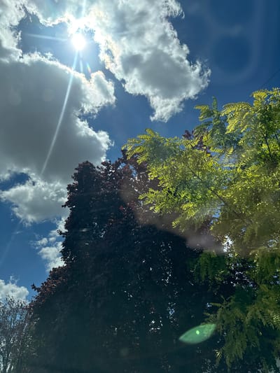 The image shows a view of the sky from below, with bright sunlight filtering through scattered clouds. Two trees are visible in the foreground, one with dark red leaves and another with light green leaves. The sky is a vibrant blue, with a few white clouds scattered throughout. The sun is bright and appears to be high in the sky, creating lens flare and a sunbeam effect. The scene is natural and outdoors. The location is a city, possibly with residential or park areas, given the presence of trees. The image does not provide specific details to pinpoint the exact location within Subotica, Serbia, but suggests an outdoor urban or suburban setting.