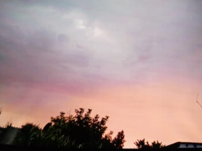 The image depicts a sunset sky over Tinchlik, Uzbekistan. The sky is a gradient of colors, transitioning from light purple and pink hues at the top to a soft orange near the horizon. Silhouetted against the colorful sky are the tops of trees and foliage, with a hint of a building structure visible in the lower right corner. The overall scene conveys a serene and natural environment as day transitions into night.