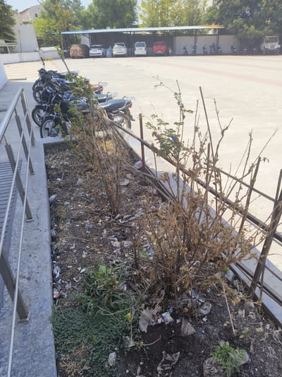The image depicts a neglected roadside planter in Dhandhuka, India. The planter contains dead or dying bushes, with scattered trash and debris amongst the plants. The area is bordered by a metal railing on one side and a concrete structure on the other. In the background, there is a paved parking area with parked motorcycles, cars, and a covered shelter structure. The overall scene suggests a lack of maintenance and potential environmental neglect in an urban area.