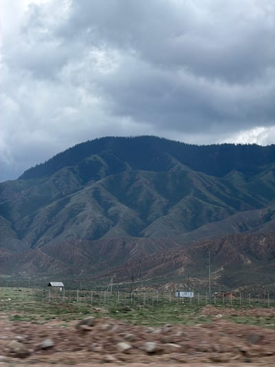 The image depicts a landscape with dramatic mountains under a cloudy sky. The mountains are covered in a mix of dark green trees along their upper slopes and lighter green vegetation and barren, rocky earth on their lower sections, showing distinct geological layers and textures. In the foreground, a dirt path with scattered stones leads into the scene. To the right of the image, a field with scattered green grass is dotted with numerous vertical poles, suggesting some sort of infrastructure, possibly for power lines or a fence. Within this field, a small, rectangular building with a silver roof and a single window is visible. A few animals, appearing to be horses or cattle, are grazing in the distance, behind the poles. The overall impression is one of a vast, somewhat rugged, and remote natural environment, possibly a rural or mountainous area. The lighting suggests it is daytime, with the overcast sky indicating potentially cool or damp weather. The image is oriented vertically, with the sky occupying the left side and the terrain and structures extending across the right. There is no visible text in the image.