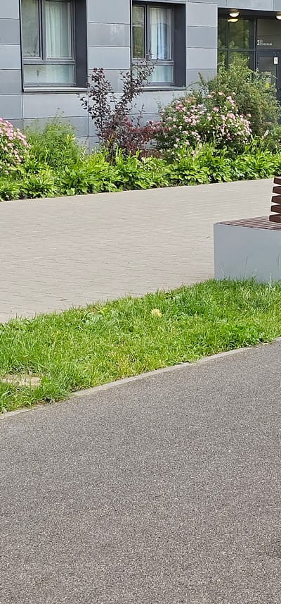 This image shows a residential building with a grey facade and dark-framed windows in Butovo, Russia. In front of the building, there is a sidewalk made of grey paving stones, bordered by a strip of green grass. Beyond the grass, another paved surface, likely a road or pathway, is visible. In the background, a bench with a grey base and wooden slats is partially visible on the right side of the frame. The greenery in front of the building includes dense bushes with pink flowers and other leafy plants, along with some darker, leafless branches. The overall scene depicts an outdoor urban environment with landscaping.