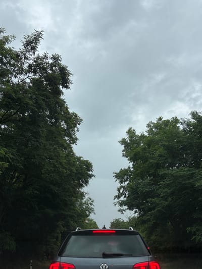 A low-angle, vertical shot captures the rear of a dark gray SUV, likely a Volkswagen, facing away from the camera, as it travels on a road lined with dense green trees under an overcast, gray sky. The SUV's brake lights are illuminated, indicating it is either stopped or slowing down. The trees, with their dark green foliage, create a tunnel-like effect, with branches extending over the road. In the distance, the sky is a uniform, dull gray, suggesting cloudy or potentially rainy weather. The scene appears to be set on a paved road, with hints of a white line marking the edge of the lane visible on the lower left. The location is identified as Petrovaradin, Serbia. There are no visible people or specific interactions depicted.