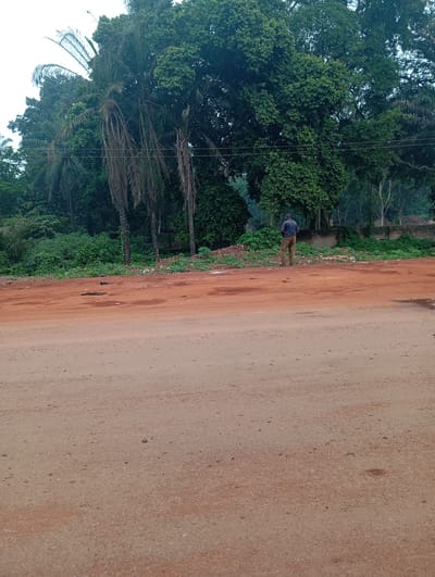 A man stands in the middle ground of the image, facing away from the camera and towards a dense line of trees. He is wearing a dark blue t-shirt and light brown trousers. The man is positioned on a dirt and gravel surface, which transitions to a sandy road in the foreground. Behind the man and the dirt area, a thick wall of green foliage and trees forms the background. The foliage includes palm trees and other broad-leafed trees. A low, partially constructed brick wall is visible to the right of the man, separating the wooded area from what appears to be an open space. The sky is overcast and light. The scene suggests an outdoor environment, likely in a rural or semi-rural area, given the unpaved roads and natural vegetation. The lighting indicates it is daytime.