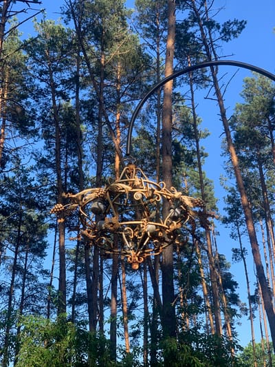 The image captures a unique perspective looking upwards through a dense canopy of pine trees, revealing a clear blue sky. In the foreground, a rustic, metal chandelier hangs suspended, its intricate, ornate design featuring decorative scrolls and what appear to be bunches of grapes. The chandelier is attached to a thick, black hoop, which is itself integrated into the surrounding branches. The warm, golden hues of the chandelier suggest it might be made of aged metal or has a patina that reflects the sunlight.
The pine trees are tall and slender, their rough bark visible, and their branches are covered in needles. The upward angle emphasizes the height and density of the forest. The sunlight filtering through the branches indicates it is daytime, likely late afternoon or early morning given the quality of light. There are no people visible in the image.
The setting appears to be an outdoor space, possibly a garden or a park, within a forest environment. The presence of the chandelier suggests a decorative element, perhaps for an outdoor event or an artistic installation. The overall mood is serene and natural, with a touch of artistic flair from the chandelier. No text is visible in the image.