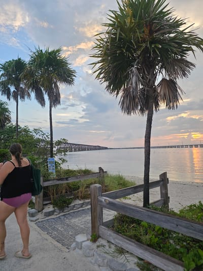 Here is a detailed description of the image:

**Scene:** The image captures a scenic view at Big Pine Key, United States, likely at or near a beach or coastline. A long bridge or causeway stretches across the water towards the horizon, its structure reflecting the sunlight.

**Environment:** The sky is a mix of blue and clouds, tinted with the colors of sunset or sunrise. The water is calm and reflective, mirroring the sky's colors. The foreground features a wooden fence, vegetation, and a walkway. Palm trees are visible, adding to the tropical atmosphere.

**People:** A person is standing near the edge of the walkway. The individual is wearing a dark tank top and pink shorts.

**Objects:** Key objects include the bridge, palm trees, wooden fence, vegetation, pathway, and the person. A sign is partially visible behind the vegetation near the fence.