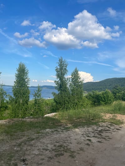 The image depicts a scenic view of the Volga River from a hillside in Shiryaevo, Russia. The foreground is dominated by dry, sandy soil with sparse green vegetation and scattered rocks. A gentle slope leads down towards the middle ground, which features a line of lush green trees, primarily birch trees with their distinctive white bark, interspersed with other deciduous foliage. Beyond the trees, the wide expanse of the Volga River is visible, its blue waters reflecting the bright sky. A small white boat is anchored near the far bank. In the background, a densely forested green hillside slopes down towards the river, with a clear blue sky dotted with fluffy white cumulus clouds overhead. The overall impression is one of a serene, natural landscape bathed in bright daylight.
