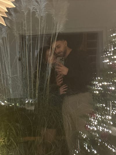 A reflection shows a person holding a phone taking a picture. A Christmas tree with white lights is above and to the right. Pampas grass and other foliage are in the foreground. The lighting is dim. The composition is complex due to the reflections and layering of objects.