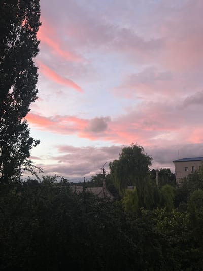 The image captures a twilight scene over Dubăsari town council, Moldova. The sky is adorned with streaks of pink and purple clouds, suggesting either sunrise or sunset. In the foreground, dense green foliage, possibly trees and bushes, dominates the lower half of the frame, obscuring the ground level. Silhouetted against the sky are more trees, one tall and dark on the left, and a weeping willow-like tree with lighter green foliage in the middle ground. A light-colored building with a blue roof is visible on the right side of the frame. Electrical wires and poles are subtly present in the scene, indicating the presence of infrastructure. The overall impression is one of a quiet, possibly rural or suburban, evening view.