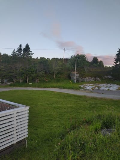 This is a medium-angle, full shot of a rural landscape scene in Sveggen, Norway, captured at dusk. The foreground features a neatly trimmed green lawn with a white wooden railing on the left side. A paved road curves through the middle ground, separating the lawn from a wooded hillside. The hillside is densely populated with various trees, including tall evergreens and deciduous trees. Further back, rocky outcrops and exposed stone formations are visible. The sky above is a pale blue, with wisps of pinkish clouds suggesting the last light of sunset. A single utility pole with wires runs across the scene, disappearing into the trees. The overall impression is one of natural serenity and quietude.