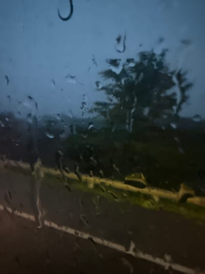 The image captures a view through a rain-streaked window, likely from a vehicle, looking out at a dimly lit environment. The foreground is dominated by water droplets on the glass, obscuring a clear view of the scene beyond. In the middle ground, a blurred stretch of road with a white line marking is visible, illuminated by an unseen light source, possibly streetlights or headlights. Beyond the road, a dark, dense area of trees and foliage forms the background, appearing as a shadowed mass under an overcast sky. The overall atmosphere is moody and subdued, with muted colors and low light, suggesting it is either dusk, dawn, or a very dark, rainy day. The scene is devoid of people or identifiable structures, focusing solely on the natural and roadside elements under inclement weather. The location is identified as Long Thành, Vietnam.