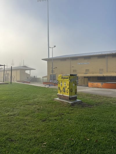 This image depicts an outdoor scene at a sports facility, likely a stadium or oval, set against a hazy or foggy sky. The main subject is a large, light-yellow or beige wooden building with a corrugated iron roof, identified by the prominent text "R.A. MCDONALD STAND" painted on its side. This structure suggests a grandstand for spectators.

In the foreground, a distinctive yellow utility box or cabinet rests on the edge of a concrete path next to a lush green grassy area. This box is covered in various playful, hand-drawn doodles, including circular shapes, eyes, and abstract designs in white, black, and other hues. The grass shows some scattered brown leaves and patches of darker soil.

Tall light poles, equipped with multiple floodlights characteristic of a sporting venue, rise into the pale, hazy sky on the left side of the frame. The sky itself is a very light, almost white-blue, indicating significant atmospheric haze or fog that obscures distant elements and gives the entire scene a soft, diffused light. Other buildings or structures are partially visible through the fog in the background.

No people or discernible activities are taking place, suggesting a quiet moment at the facility. The time of day appears to be daytime, given the overall brightness, but the thick haze prevents strong shadows. The location context, Bassendean, Australia, implies this is likely a local sporting ground such as Bassendean Oval.