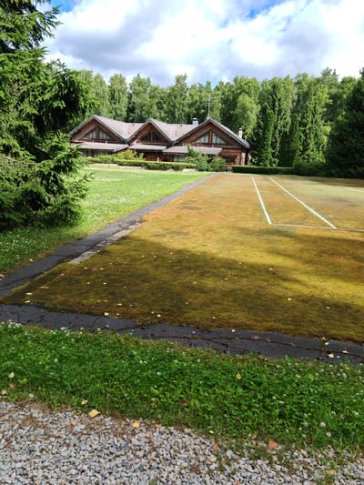 The image depicts a large, multi-gabled wooden house surrounded by lush greenery and a tennis court. The house features dark brown wooden siding and trim, with several large windows, some of which are triangular, set into the gables. A manicured lawn with small white flowers borders the house. To the right of the lawn is a tennis court with green artificial turf and white boundary lines. A portion of the court appears to be overgrown with moss and has scattered autumn leaves. A paved pathway runs along the edge of the tennis court and the lawn, bordered by a gravel path in the foreground. Tall evergreen trees and deciduous trees form a dense backdrop behind the house. The sky is partly cloudy with a mix of blue sky and white clouds. There are no people visible in the image.