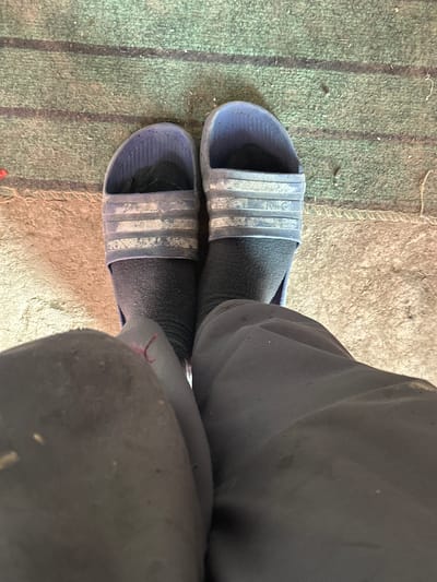 The image shows a close-up, overhead view of a person's legs wearing dark grey socks and blue Adidas slides. The slides appear worn and dusty, with visible white stripes on the band. The person is standing on a surface that is a mix of a green carpet with dark stripes and a lighter, rougher surface that appears to be dirt or concrete. The background is out of focus but suggests an outdoor or semi-outdoor environment. There are no recognizable landmarks or elements that would indicate a specific location in the city of International, Kyrgyzstan. The scene is mundane and lacks any specific context.
