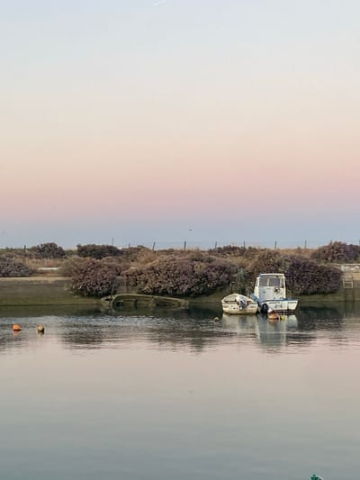 This image captures a serene evening scene along the waterfront in Olhão, Portugal. The sky displays a soft gradient of pastel colors, transitioning from a pale blue at the top to a gentle pink and peach hue near the horizon, indicative of sunset or sunrise.

In the water, several boats are visible. To the right, a white cabin cruiser is moored alongside a smaller white boat. The cabin cruiser has a visible nameplate, though the text is not fully legible. Moored next to it, the smaller boat appears to be a dinghy or skiff. In the foreground, two buoys, one orange and one yellow, float on the water's surface. Further to the left, a partially submerged and derelict boat hull rests in the shallow water, its decaying structure juxtaposed against the calm water.

The shoreline is lined with dense, shrub-like vegetation, appearing dry and somewhat arid, possibly typical of the coastal landscape in this region. A wire fence runs along the top of the embankment, separating the vegetation from the sky. A ladder-like structure is visible on the right side of the image, descending towards the water. The water itself is still and reflects the muted colors of the sky and the surrounding environment, creating a mirror-like effect. The overall impression is one of tranquility and a slightly melancholic beauty, with the remnants of older vessels hinting at the area's maritime history.
