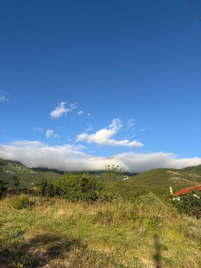 This image presents a serene mountain landscape under a bright, clear blue sky, situated in Bratešići, Montenegro. The left side of the frame is dominated by a vast expanse of deep blue sky, accented by several small, scattered white cumulus clouds.
A significant feature is a long, horizontal band of thick white clouds or fog that hugs the ridge of a large, verdant mountain, partially obscuring its upper slopes. This mountain, rich with dense green foliage, forms the right side of the composition. In the mid-ground, on the sloping mountainside, a small white building with a distinctive reddish-orange tiled roof and a chimney is visible, surrounded by lush greenery. Nearby, a small white sign is present, but any text on it is illegible.
The foreground consists of a sunlit grassy slope filled with various shades of green, dotted with small white and yellow wildflowers. Scattered bushes and patches of taller grass are also present. The scene is illuminated by bright daylight, suggested by the clear sky and subtle shadows on the grass. No people or specific activities are depicted, emphasizing the natural beauty and tranquil atmosphere of the mountainous region. The weather appears fair, characterized by the clear sky and the striking cloud formation along the mountain ridge.