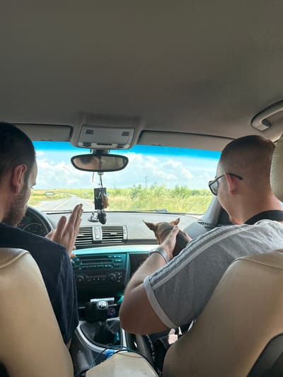 The scene depicts the interior of a car, viewed from the rear passenger seat, presumably in Kukorevo, Bulgaria. Two adult males occupy the front seats. The driver, on the left, has short dark hair and a beard, and wears a dark top. His left hand rests on the steering wheel while his right hand is raised, palm open, in a conversational or gestural manner. The front passenger, on the right, has a shaved head, wears dark-rimmed glasses, and a grey t-shirt with white stripes on the sleeves. He holds a small, brown, short-haired dog with both hands. Both individuals are looking forward, towards the road ahead.

The car's interior features a beige headliner and seat upholstery. The dashboard includes air vents, a central display unit, radio controls, and climate control dials. A rearview mirror hangs from the ceiling, reflecting part of the driver's head and adorned with several decorative items, including a small bell. The gear shift for a manual transmission (6-speed) is visible between the front seats. The center console contains various items, including a blue water bottle, sunglasses, and a pack of cigarettes.

Through the windshield, a two-lane asphalt road is visible, curving gently to the left in the distance. The road is flanked by extensive green fields and dense vegetation under a clear blue sky with scattered white clouds. Power lines and utility poles are visible on the right side of the distant landscape. A white and green road sign is partially visible in the distance on the left. The scene suggests daytime travel through a rural or semi-rural area under clear weather conditions.