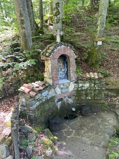 The image depicts a natural spring shrine, likely located outdoors in a wooded area near Barziya, Bulgaria. The shrine is constructed from a combination of stone, brick, and ceramic tile. A small arched alcove contains an Orthodox Christian icon. Water flows from the spring into a basin. The surrounding area is overgrown with moss, vegetation, and fallen leaves. A sign is visible on a nearby tree.