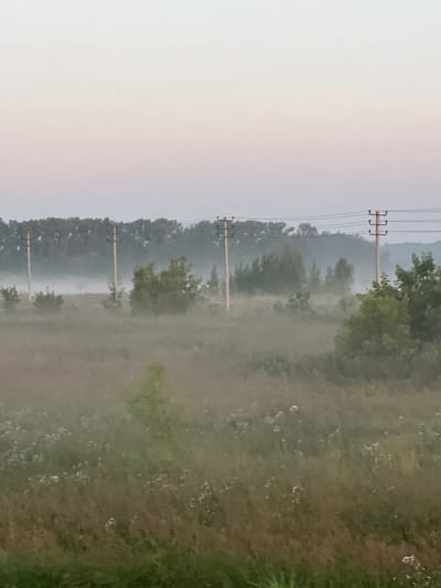 A wide shot captures a field at dawn, located in Verkh-Tula, Russia. The sky is a pale gradient of pink and white. Power lines stretch horizontally across the upper third of the image, supported by wooden poles that punctuate the landscape. In the middle ground, a dense line of trees forms a dark silhouette against the sky. A thin layer of fog blankets the field, obscuring the lower portions of the trees and creating a hazy atmosphere. Sparse bushes and trees are scattered throughout the field, their forms softened by the mist. The foreground is a dense, uncultivated expanse of tall grass and wildflowers, also partially obscured by the fog. The overall impression is one of rural tranquility in the early morning hours.