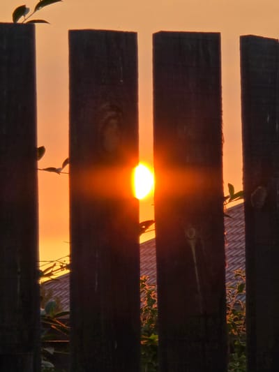 This is a vertical, eye-level, medium shot photograph taken at sunset in Ermolaevo, Russia. The sun, a bright orange orb, is positioned in the center of the frame, partially obscured by two dark wooden fence posts that divide the image vertically. The fence posts are weathered and have a rough texture. The sky behind the fence posts is a warm gradient of orange and yellow, characteristic of a sunset. In the foreground, parts of the fence posts are silhouetted against the bright sky. Some small green leaves and branches are visible, also silhouetted or catching the sunset light, attached to the fence or growing nearby. In the background, a tiled roof of a building can be seen through the gaps in the fence, also illuminated by the setting sun. The overall impression is one of a peaceful, natural scene during twilight.