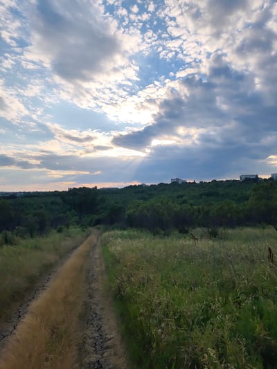 A dirt road traverses a grassy field, leading towards a dense forest that covers a rolling hill. Several multi-story buildings are visible on the hilltop, silhouetted against a sky filled with scattered clouds and sunbeams breaking through. The scene appears to be located in the city of Codru, Moldova, possibly during the late afternoon or early evening, as indicated by the lighting. There are no people or animals present in the image. The environment is natural with a mix of vegetation and urban development in the background.