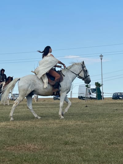 The image depicts a sunny outdoor scene in Neofit Rilski, Bulgaria, with a clear blue sky. In the foreground, a person dressed in historical attire, featuring a white cape and brown leggings, rides a white horse at a trot across a grassy field. The horse is wearing a bridle and saddle. To the left, another person on a brown and white horse, wearing a dark, ornate jacket, is partially visible. In the background, a white van, a dark car, and a lamppost are present. The ground is covered with dry grass and some darker patches, suggesting a dry spell. The overall atmosphere is that of an outdoor event or reenactment.