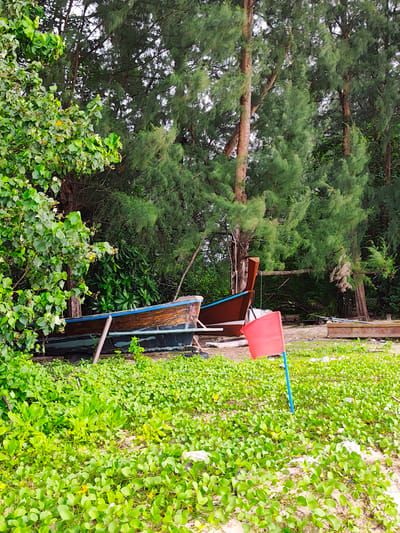 This image depicts a shoreline with dense foliage and trees in the background. In the foreground, a patch of green ground cover with small yellow flowers is visible, with a red flag on a blue pole planted in it. Two boats are present, one appears to be a wooden fishing boat with a blue trim, resting on supports, and another boat is partially visible behind it. The environment suggests a coastal area, likely in a tropical or subtropical region given the vegetation. The presence of fishing boats indicates a connection to marine activities. The location within Sakhu, Thailand, suggests this could be a beach or a small fishing village. There are no people visible in the image.