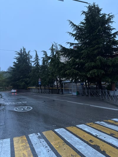 The image shows a street scene in what appears to be Lazurnoe, Ukraine, based on the Cyrillic text marking a 20 km/h speed limit near a pedestrian crossing. The scene is overcast and possibly wet, as the asphalt road surface is shiny. A series of tall, dark green evergreen trees line the left side of the road, partially obscuring buildings. A metal fence runs along the trees. A yellow gas pipe is visible along the fence. On the right is a pedestrian crossing with alternating yellow and white stripes. A white vehicle with red lights can be seen further down the road. Road signs are visible amidst the trees.