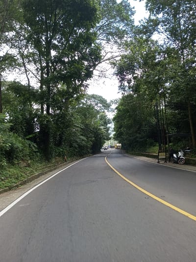 The image depicts a paved two-lane road winding through a densely vegetated, possibly mountainous, area in Boommlog, Bhutan, under an overcast sky. The asphalt road curves gradually to the right in the mid-ground. A solid yellow line marks the center of the road, indicating traffic flow or a no-passing zone, and a solid white line defines the left shoulder.
On the left side of the road, a steep embankment is covered in lush green foliage, including tall trees with dense canopies and various undergrowth, some featuring broad, banana-like leaves. A concrete curb with a white painted edge separates the road from the vegetation.
On the right side of the road, dense greenery lines another embankment. Approximately one-third into the frame, a white scooter or motorcycle with black accents is parked on the shoulder, facing towards the foreground. A dark-clothed individual stands beside the scooter, facing the road. Behind them is a rectangular sign, primarily white, with vertical poles, displaying partially legible text that includes "AYAM KAMPUNG" and "BAKAR," suggesting a food establishment. Adjacent to this sign, a dark, tarp-like structure is visible, extending over a small area. Further down the road, in the distance, several vehicles, possibly trucks or buses, are visible on the curved roadway, which is bordered by continuous dense vegetation. The environment is heavily forested, with numerous tall trees forming a canopy over parts of the road.