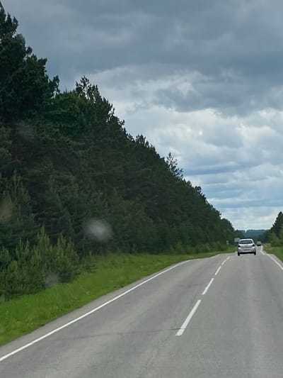 A silver car is driving on a paved road with white lane markings. The road curves to the right and is bordered by a dense forest of dark green pine trees on the left. The sky is overcast with heavy, grey clouds. The road appears to be in a rural or suburban area, possibly in Belorechensky, Russia, given the presence of pine trees which are common in that region. The weather appears to be a cloudy day.