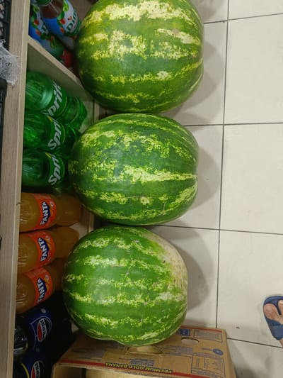 In a store in Gulbakhor, Uzbekistan, three large watermelons are stacked vertically. To the left of the watermelons, several bottles of Sprite and Fanta are visible, along with two bottles of Pepsi. The floor is tiled. A person's foot wearing a blue sandal is visible on the right side of the image.