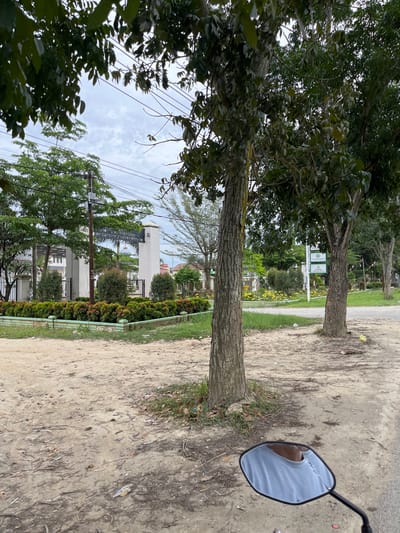 The image shows a street scene in Bundar, Indonesia, on a cloudy day. In the foreground, a dirt road is visible with scattered leaves and a piece of plastic litter. A motorcycle handlebar and mirror are reflected in the lower right corner, showing the shoulder and neck of a person wearing a light blue t-shirt.
To the left of the road, a manicured garden bed with green and reddish-orange foliage lines a low wall. Behind this, a white gate structure with pillars stands, possibly an entrance to a complex or housing. A sign is affixed to one of the pillars, but the text is illegible. Several trees with rough bark and green leaves are scattered throughout the scene, some lining the road and others further in the background. Behind the gate, buildings with white walls and dark roofs are visible, along with more trees and a dome-shaped structure.
Further down the road on the right, another tree with similar bark and foliage stands. Beyond that, a light green signpost with two green rectangles containing white symbols is visible, followed by more trees and a white building with a red and white flag. The background features a cloudy sky with some power lines visible. The overall environment appears to be a semi-urban or suburban area.