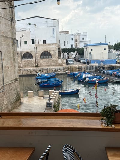 This image captures a vibrant harbor scene in Monopoli, Italy, viewed from an indoor or semi-enclosed vantage point, possibly a cafe or balcony, with a wooden frame and railing in the foreground.

The scene centers on a narrow canal or inlet filled with calm, rippling water. Numerous blue-hulled boats are docked along both sides of the waterway. Over the water, a string of colorful decorative flags, including nautical signal flags, a Japanese flag, and solid-colored pennants, adds a festive touch.

On the left bank, a cluster of traditional white buildings with stone bases and arched windows lines the waterfront. One prominent, brightly whitewashed building features the text "La Rendella" clearly visible on its upper facade. Beyond the buildings, an overcast sky suggests daytime with diffused light. On the right bank, more white buildings with blue accents are visible, along with parked cars and a few individuals walking on the quay.

In the immediate foreground, a wooden railing or window sill stretches across the bottom of the frame, supporting a potted plant with green foliage and small white flowers. To the right, part of a black and white patterned wicker chair is visible, hinting at the indoor setting from which the photograph was taken. The overall atmosphere appears calm and picturesque.