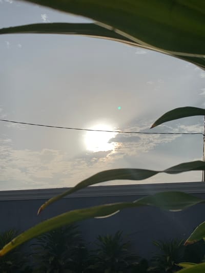 The image displays a bright, vertically oriented outdoor scene, dominated by a luminous sky framed by dark green foliage. In the central-left area, a brilliant sunburst is partially obscured by soft white clouds, casting strong rays and causing a distinct green lens flare dot above it. The sky, a light gray-blue, stretches across the central and right portions of the frame, filled with scattered white cumulus clouds.

Long, narrow, dark green leaves from plants or trees prominently frame the view on both the far left and far right sides, creating a natural border. A thin, dark wire or cable runs horizontally across the middle of the image, passing directly in front of the sun. On the far right, beyond the foliage, a dark grey-blue wall or building is visible, alongside a vertical light-colored structure, possibly a window frame or building edge. Silhouetted outlines of additional dark green plants or trees can be seen against the dark wall.

The strong sunlight suggests either morning or late afternoon, indicating a partly cloudy but bright day. No people or activities are visible. The prominent tropical-looking foliage and architectural elements hint at an outdoor urban or semi-urban environment in Ibasa, Nigeria. There is no visible text.