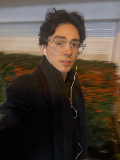 The image displays a young person, likely male, situated outdoors during what appears to be evening or nighttime. The individual is positioned centrally in the frame, looking directly towards the viewer with a neutral expression. They have dark, curly hair and are wearing clear-framed glasses. White wired earphones are visible, plugged into their ears with the wires running down the front of a dark coat or scarf they are wearing.
In the background, to the person's left, a light-colored, possibly white, building or structure with vertical detailing is present. To the right and behind the person, a dense hedge or bush with bright orange-red berries or flowers adds a contrasting color element. These background features are softly blurred, indicating a shallow depth of field. The ambient lighting is dim, consistent with dusk or night conditions, possibly under artificial light sources. No specific activity beyond posing for the camera is discernible. There is no visible text. The location context provided for the scene is Villeneuve-d'Ascq, France.